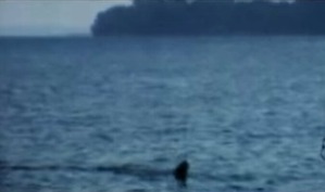 Screenshot_2016-03-31-03-42-58