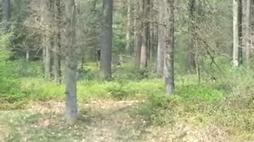 Screenshot_2015-11-18-09-57-26