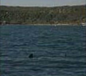 Screenshot_2016-01-26-02-52-27