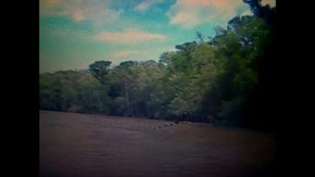 Screenshot_2015-12-04-21-06-28