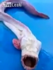 Screenshot_2016-04-30-08-06-12