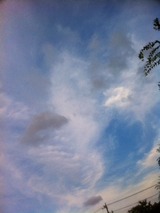 bd014f5a.jpg