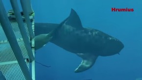 Screenshot_2015-12-22-18-27-47