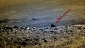 Screenshot_2015-11-19-20-45-06