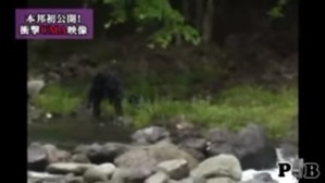 Screenshot_2016-03-13-10-36-49