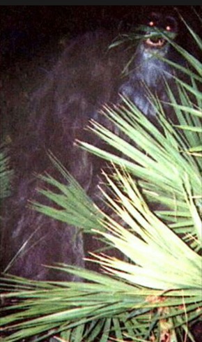 Screenshot_2016-01-08-07-54-12