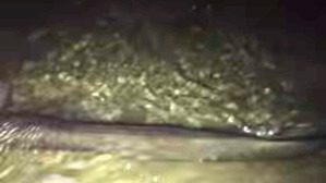 Effectplus_20160219_023132