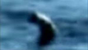 Effectplus_20160401_043441