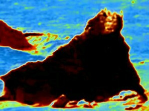 Effectplus_20160312_040352