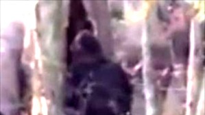 Screenshot_2016-03-14-11-49-58