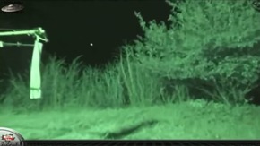 Screenshot_2015-12-07-11-50-49