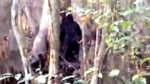 Screenshot_2016-03-14-11-48-05