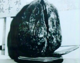 c41b69bc.jpg