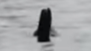 Screenshot_2016-06-29-04-27-35