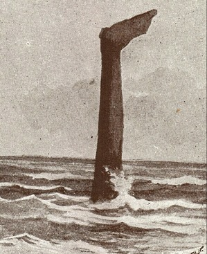 Screenshot_2016-05-08-11-36-27