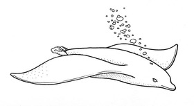 c46aeeac.jpg