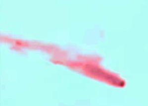 Screenshot_2016-04-29-08-37-19