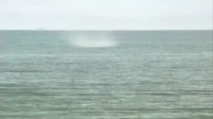 Screenshot_2016-05-27-05-29-19