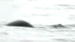 Screenshot_2016-06-29-04-35-27