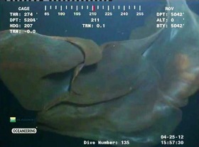c7a459df.jpg