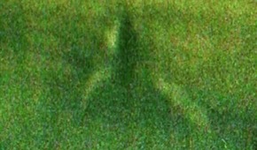 Screenshot_2016-01-02-11-43-51