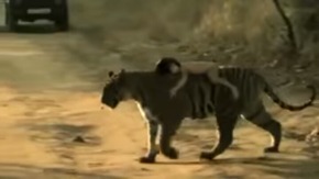 Screenshot_2015-12-14-21-29-07