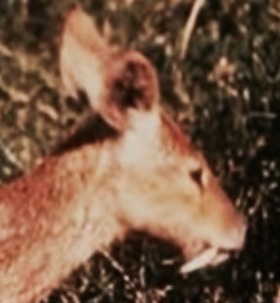 ca637499.jpg
