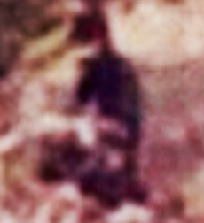 cae7b2c9.jpg