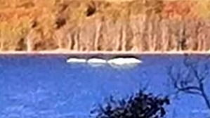 Screenshot_2016-06-28-05-16-30