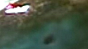 Screenshot_2016-06-30-13-08-40