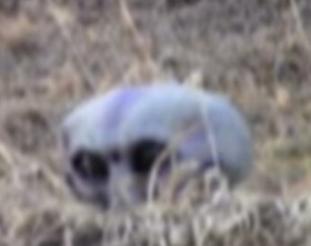 Screenshot_2015-09-13-11-50-42