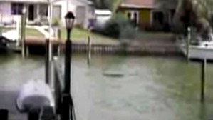 Screenshot_2016-06-28-07-40-50