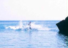 cd395855.jpg