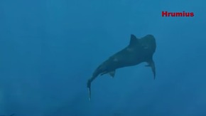 Screenshot_2015-12-22-18-29-01