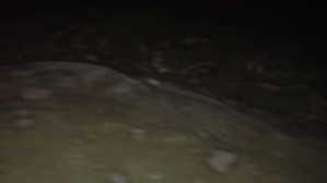 Screenshot_2016-02-19-02-25-14