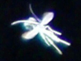 cdf6b68f.jpg