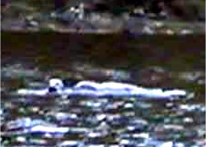 Screenshot_2016-04-29-06-03-57