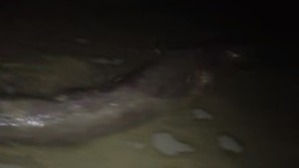 Screenshot_2016-02-19-02-25-04