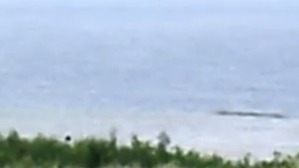 Screenshot_2016-05-11-19-29-25