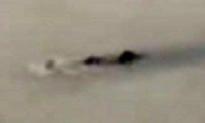 Screenshot_2016-04-01-12-05-45