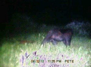 Effectplus_20160330_043800