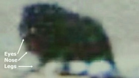 Screenshot_2015-11-19-20-48-13