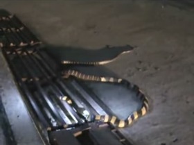 Screenshot_2015-11-20-13-31-49