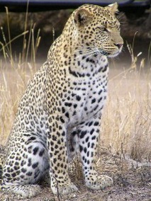 d07348d3.jpg