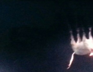 Screenshot_2016-04-26-01-45-20