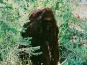 Screenshot_2016-03-17-07-04-36