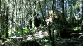 Screenshot_2015-10-28-01-54-11