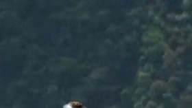 Screenshot_2015-11-04-04-32-54