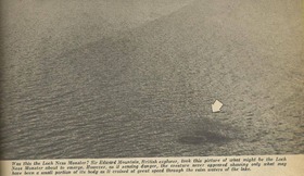 1017092_537102569658212_1276651879_n