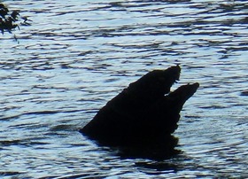 d369012a.jpg